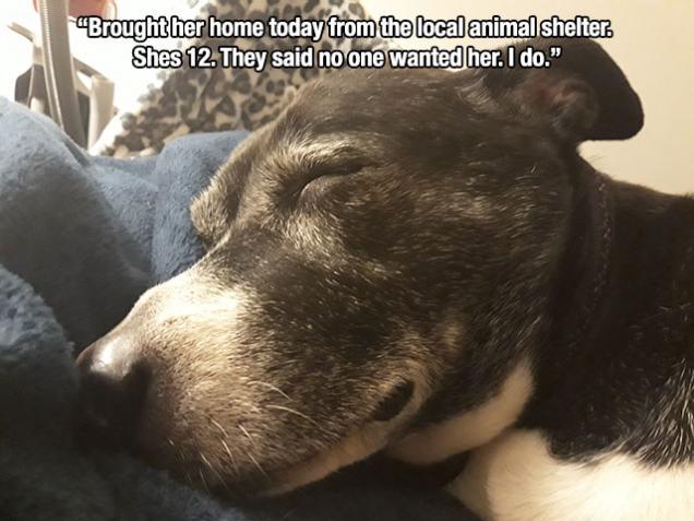 18 Pics That Are Filled With Feels.