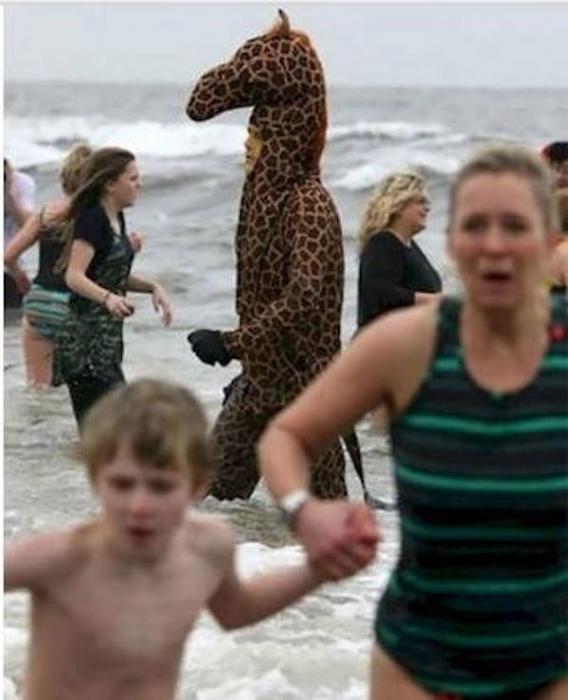 27 Pics That Require an Explanation.