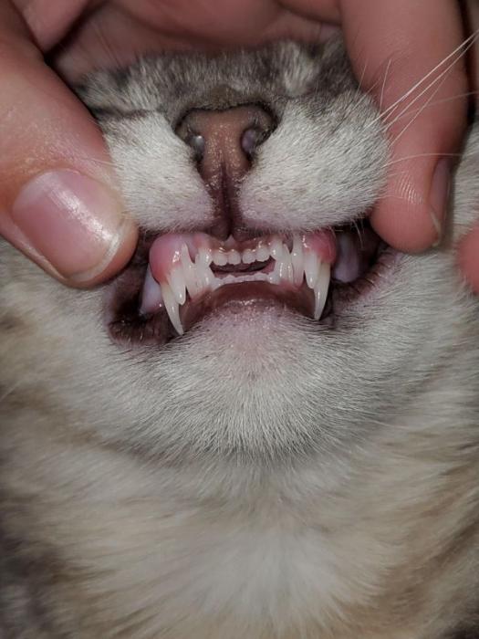 25 Things That Are Pretty Cool.