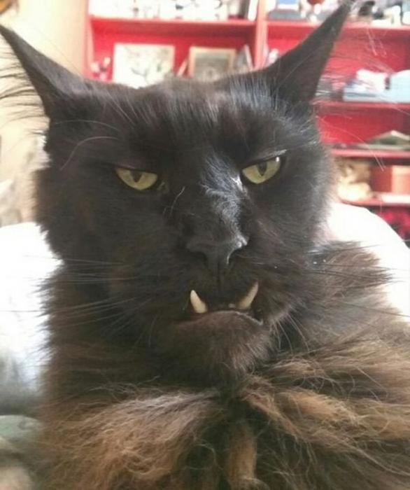 21 Optical Illusions That Freaked People Out.