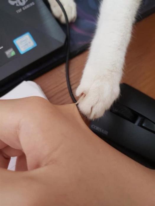 20 Times Life Decided to Suck.