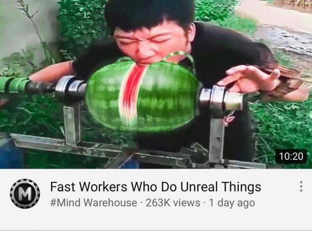 24 Pics Filled With Stupidity.