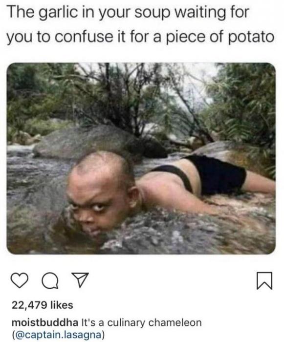 25 Things People Said That Don't Make a Whole Lot of Sense.