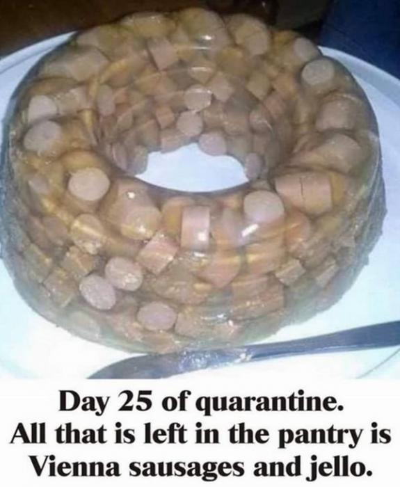 24 Images You Will Want Nothing to do With.