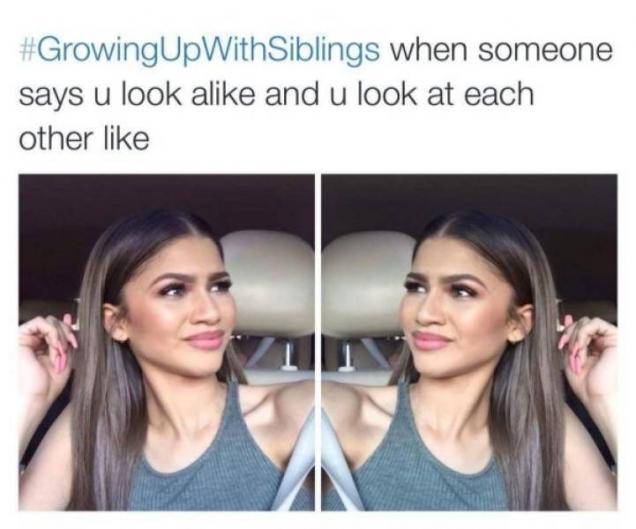 37 Sibling Memes That Prove They Can be So Annoying.