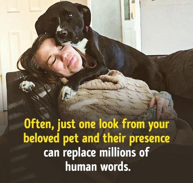 30 Pics Filled With Wholesomeness.