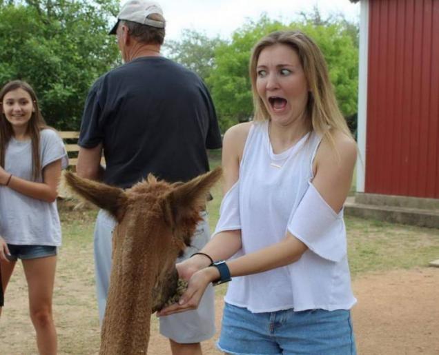 24 Pics Taken at the Perfect Time.