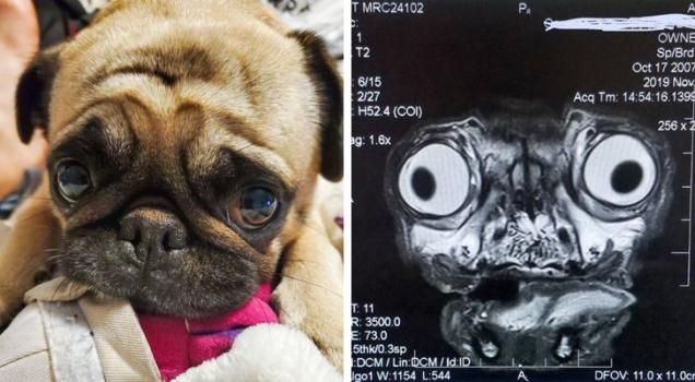 20 Pics to Help You Take a Glimpse of the World From a New Angle.