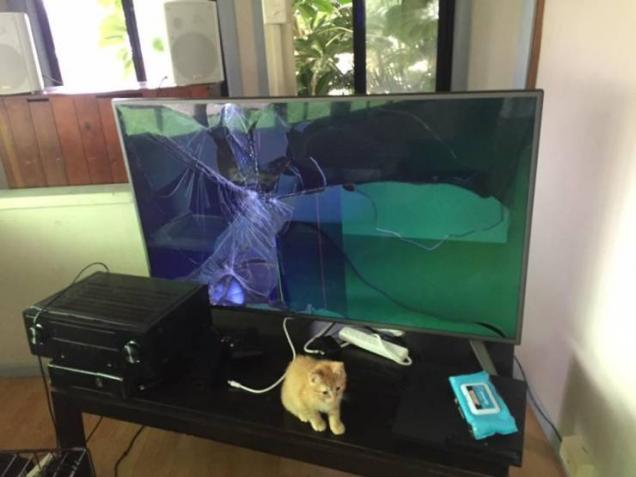 31 People Having One Hell of a Bad Day.