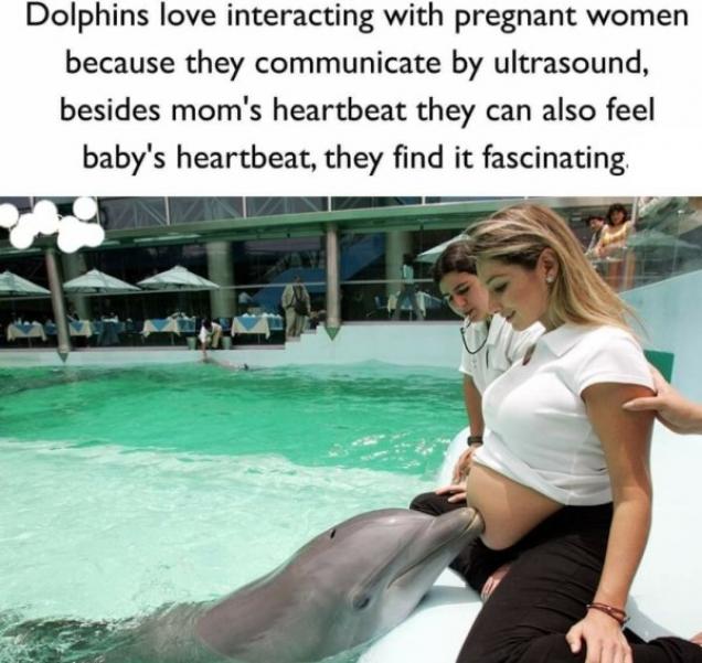 25 Pics to Put a Smile On Your Face.