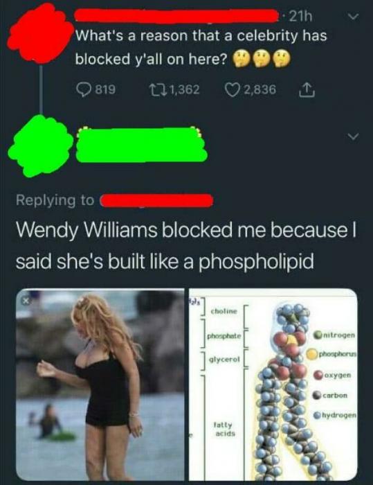 32 Insults That Savaged People Online.