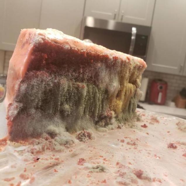 21 Things That People Forgot About.