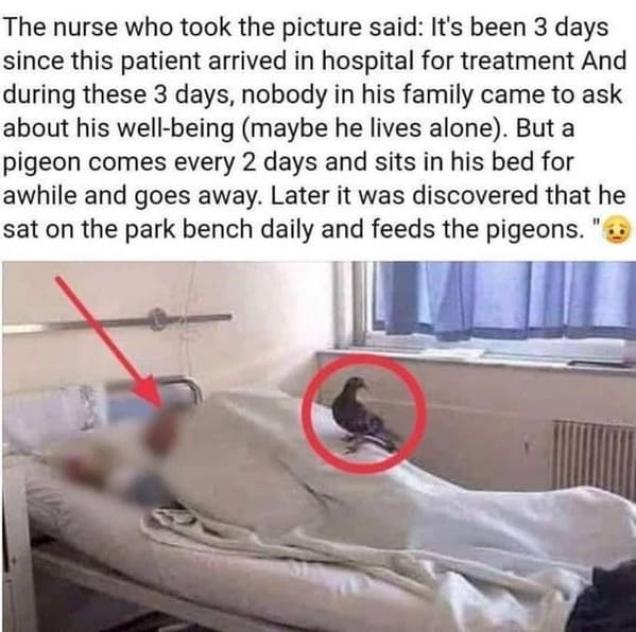 15 Things That Totally Never Happened.