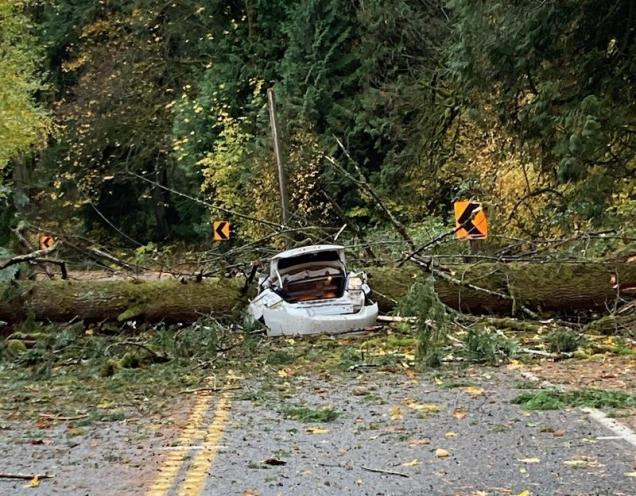 15 Times Life Wasn't All Sunshine And Rainbows.