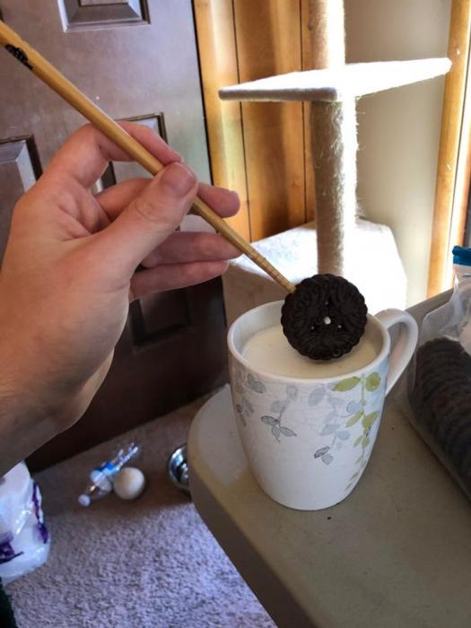 15 People Who Know The Secret To The Easy Life.