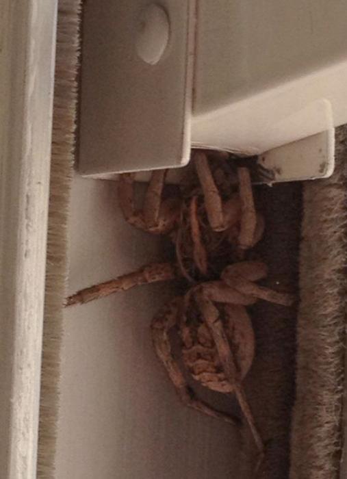 30 Creepy Things People Found In Their New Homes.