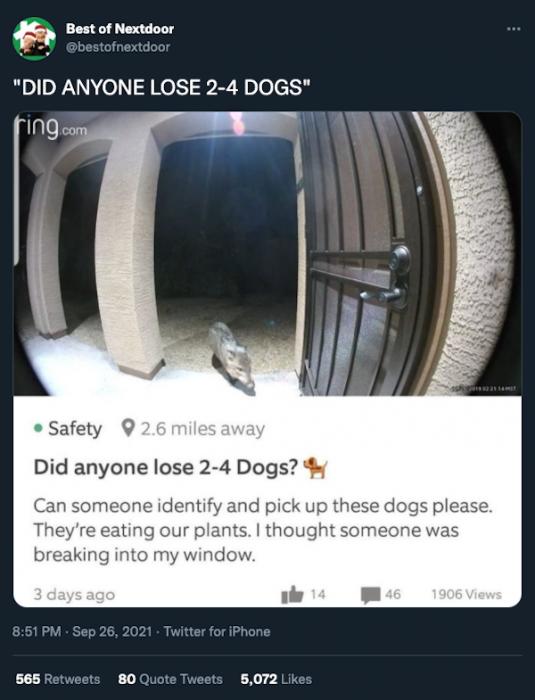 20 WTF Posts From The Nextdoor App