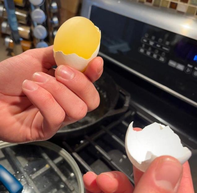 36 Moments Captured With Perfect Timing.