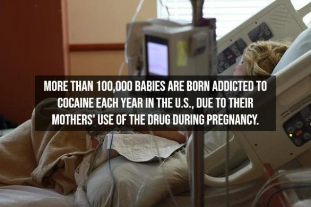 15 Cocaine Facts To Blow Your Mind.