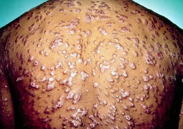 30 Hard To Believe Facts That Are True.