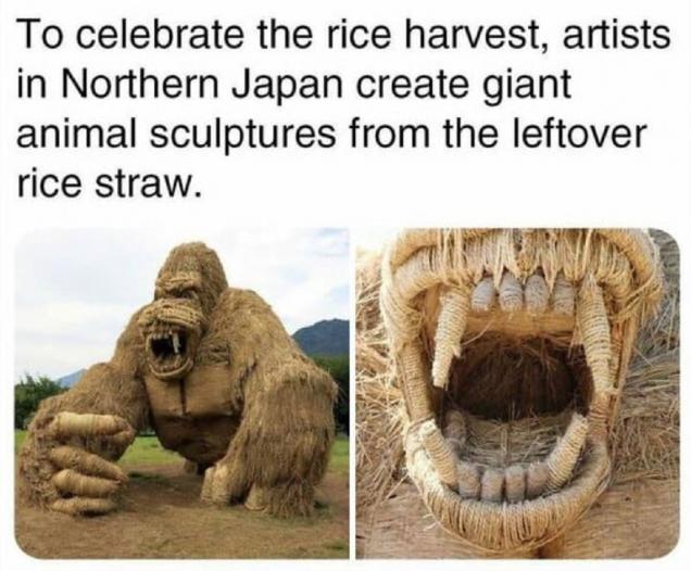 49 Cool Things That Actually Exist.