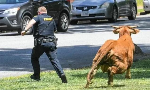 32 Times Things Escalated Quickly