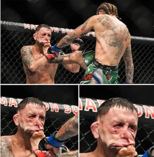 40 Perfectly Timed Photos