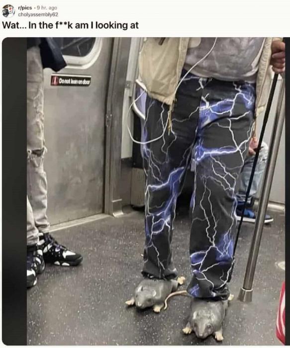 33 WTF Posts Spotted on Reddit