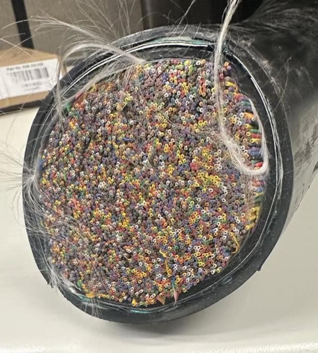 40 Mildly Interesting Pictures