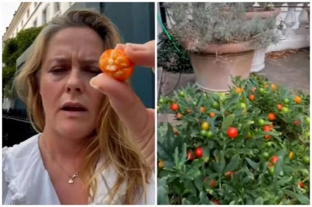 19 People Casually Doing Dangerous Things