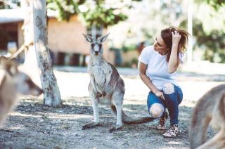 Meanwhile In Australia