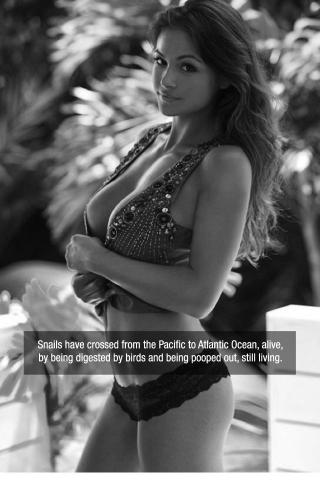 29 Eye-Catching Facts & Fascinating Babes