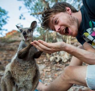 Man Takes Selfies With Animals And It Turns Out Epic