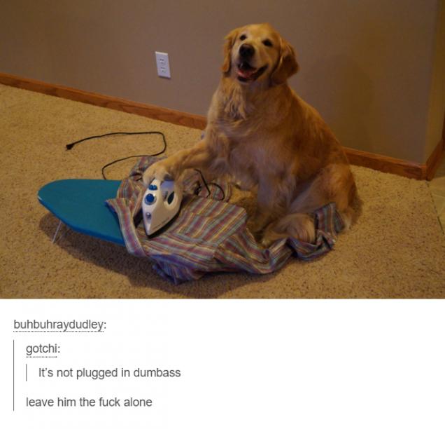 46 Meme Pics So Funny You'll Watch Them Twice