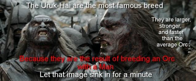 10 Nifty Lord Of The Ring Facts