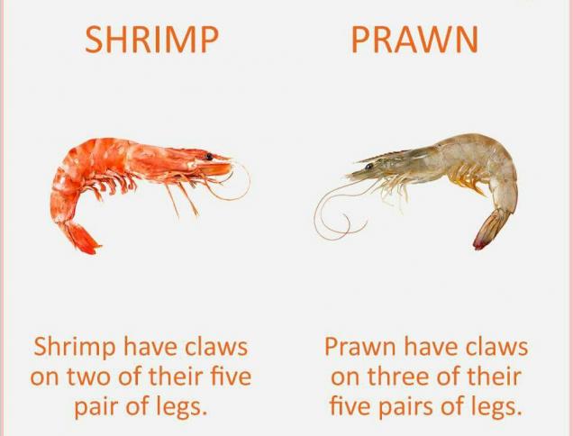 British Share A Few Insights About Differences