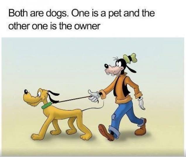 29 Examples Of Cartoon Logic That Will Make You Go "WTF?!"