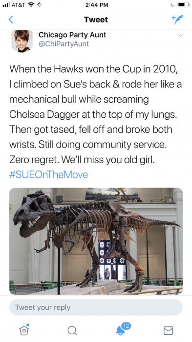 Chicago Party Aunt Will Make You Laugh