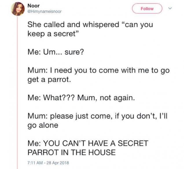Crazy Birdlady Drags Her Daughter Into A Quest For Secret Parrots
