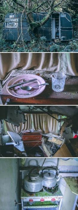 21 Unusual Things You Never Expected To Find In The Woods