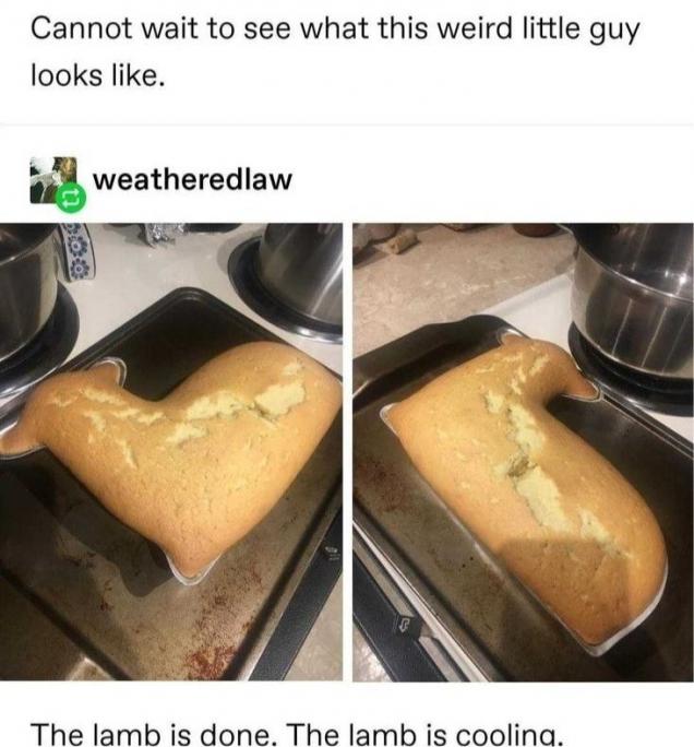 Botched Lamb Cake Turns Into Unexpected Masterpiece Gallery eBaum's