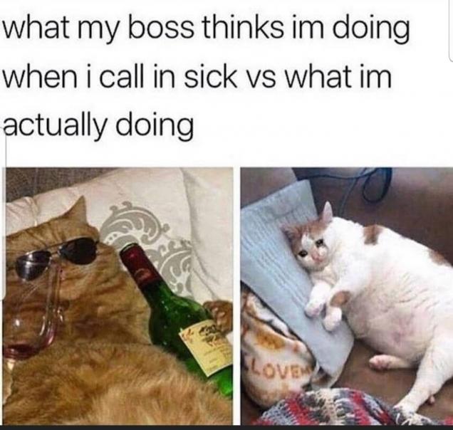 36 Pics And Memes For The Exquisite Minds