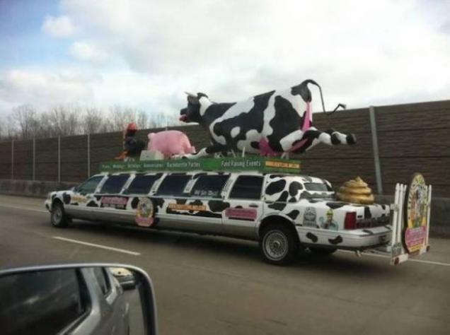 34 Weird Cars You Can Meet On The Roads