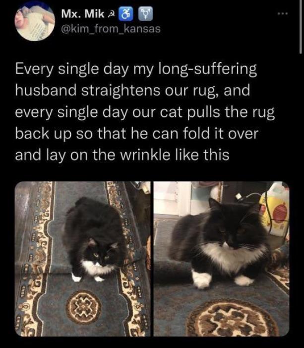 31 Twitter Memes To Show You're Not Alone