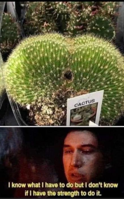 31 Fresh Pics And Memes For The Exquisite Minds