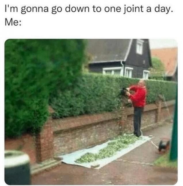 31 Fresh Pics And Memes For The Exquisite Minds