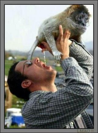 R.A.G. - Rockczar's Awesome Gallery