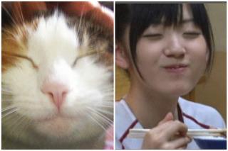 Farout Oriental Randomness Compilation