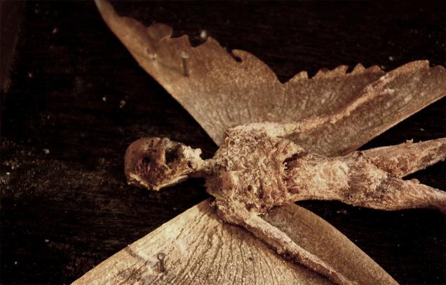 Bodies Of Strange Creatures Found In An Old House Basement In London