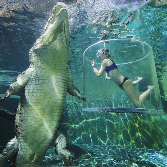 35 Great Pics to Improve Your Mood